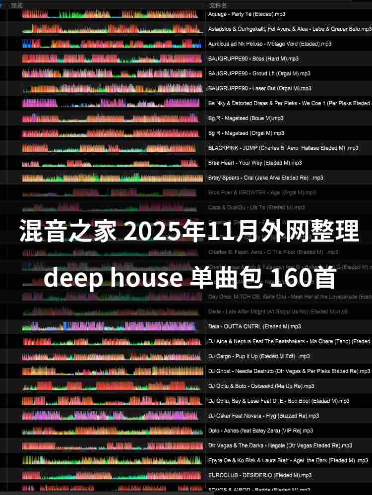 2025年11月外网整理deep house 160首 专业dj打碟音乐包